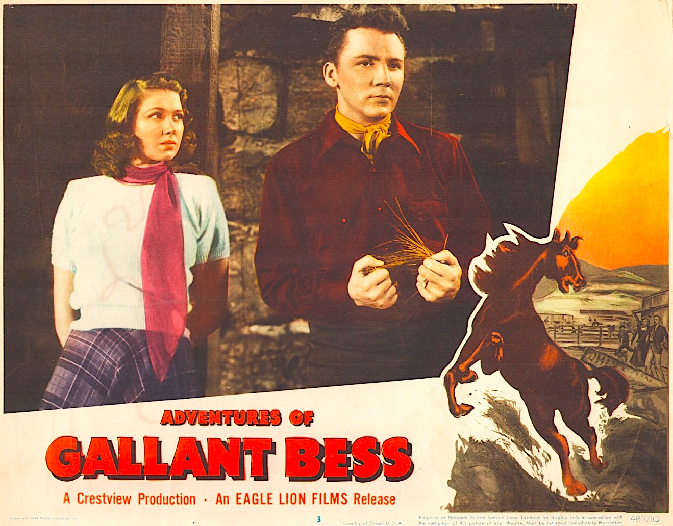 video-section-banner-image