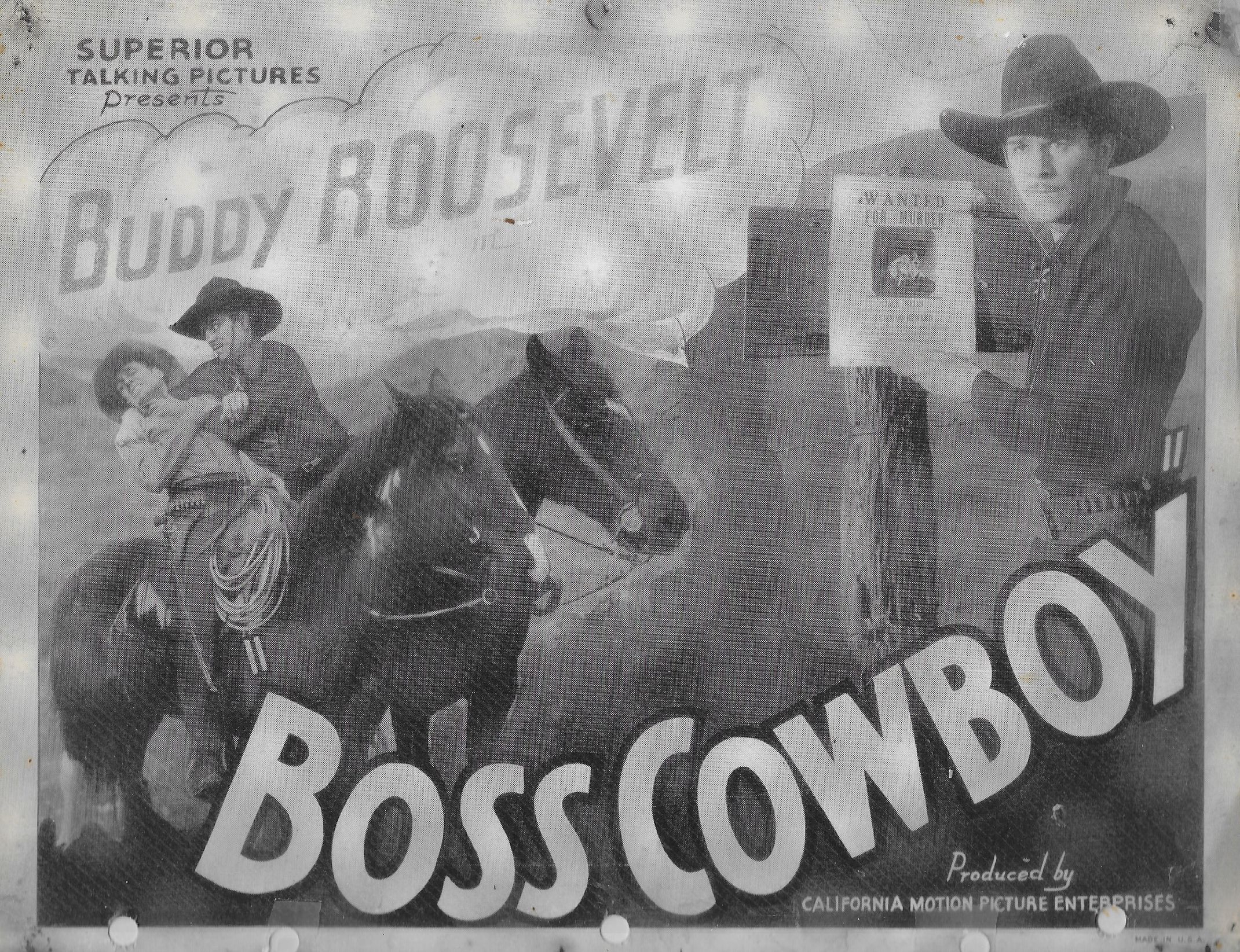 The Boss Cowboy