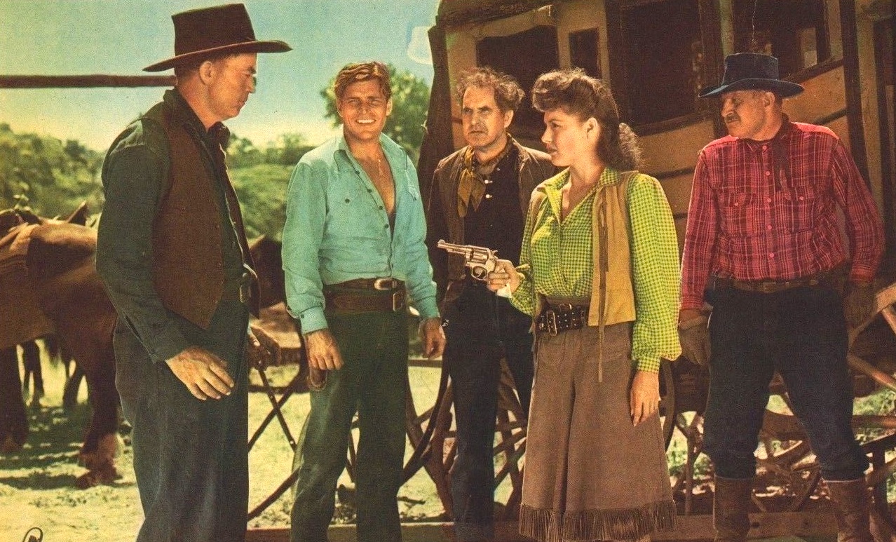 video-section-banner-image