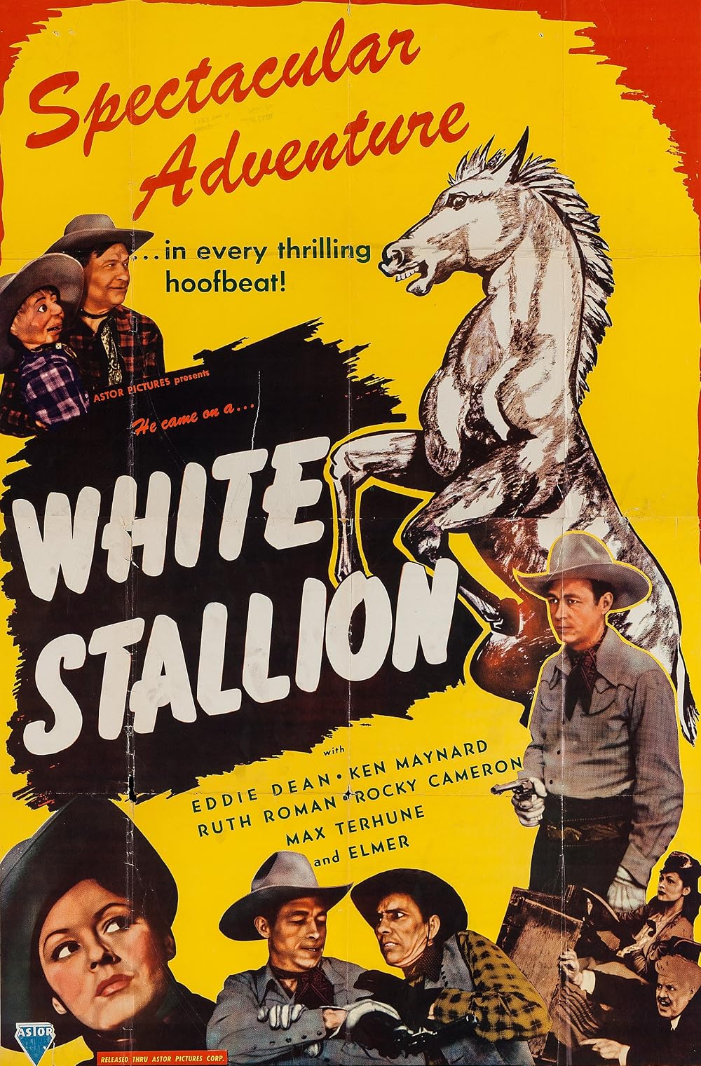 Harmony Trail AKA White Stallion