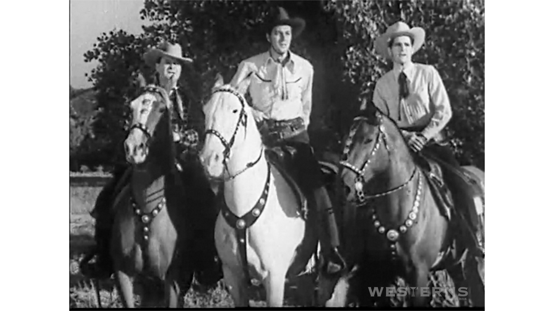 video-section-banner-image