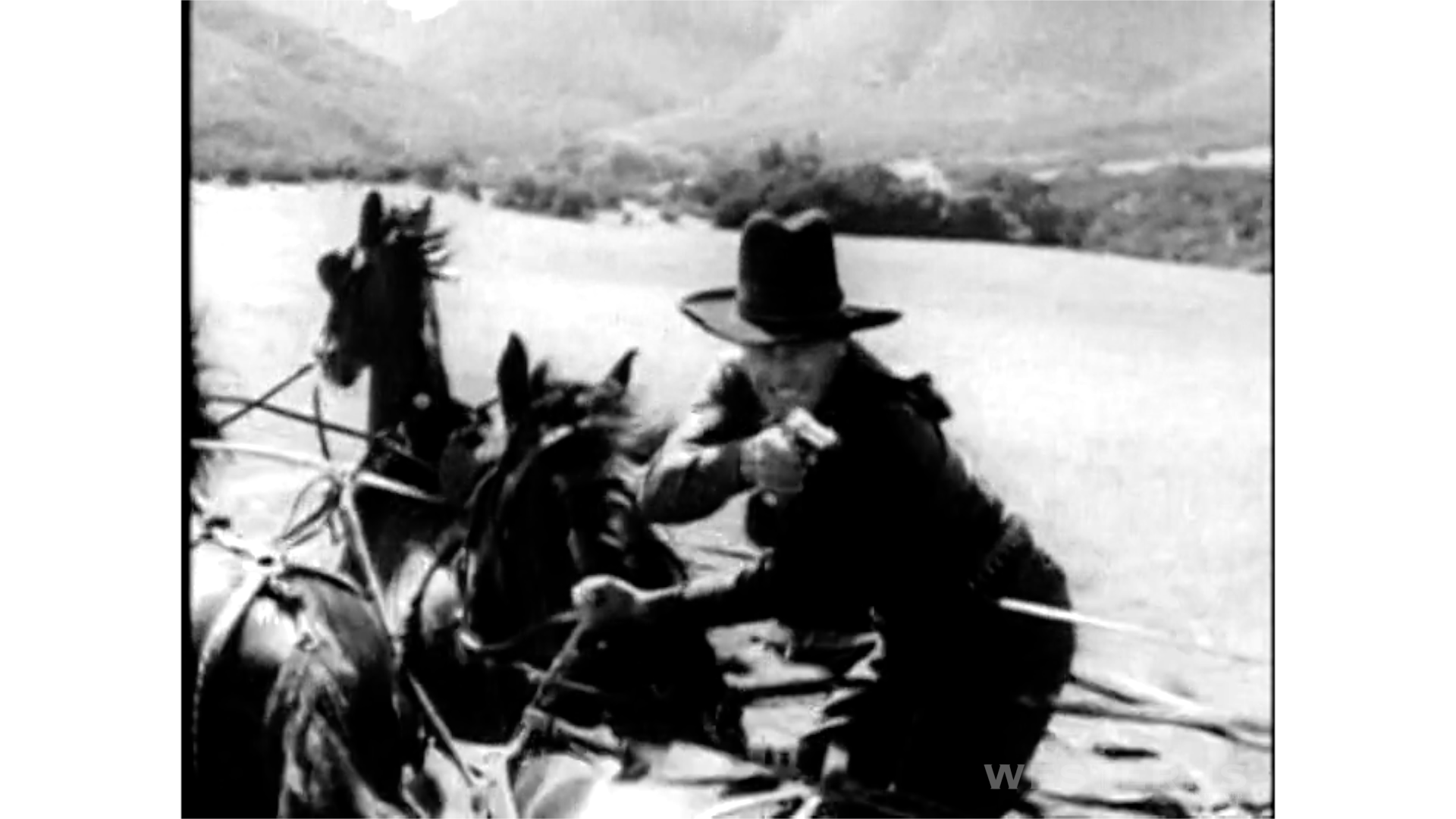 video-section-banner-image