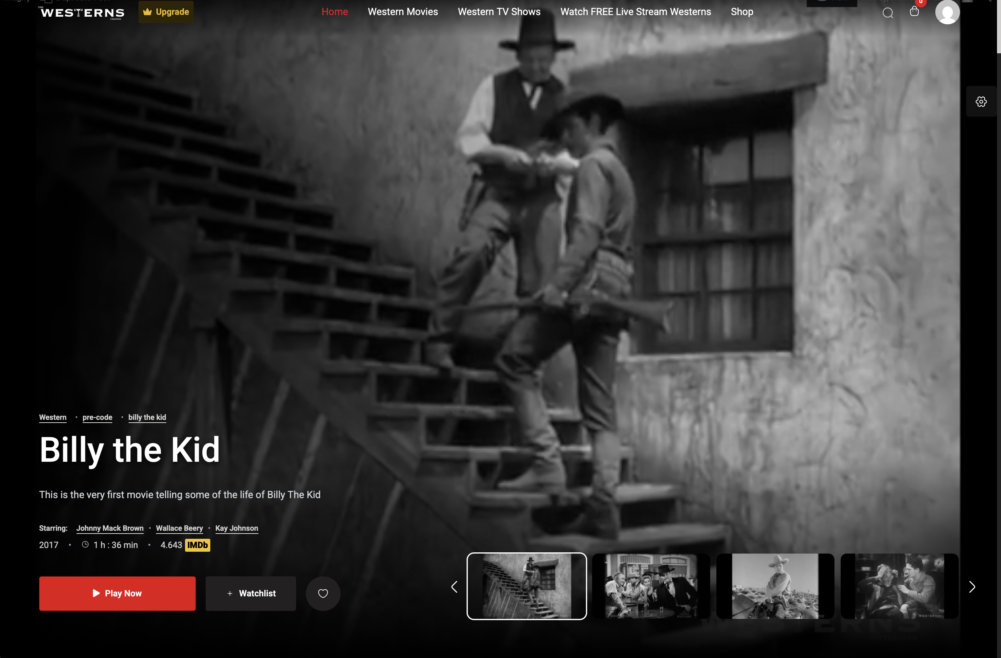 The Westerns Channel